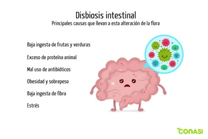 disbiosis-intestinal-intento1